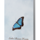 Trauerkarte im Format dinlang hoch mit einem blauen Schmetterling und etwas Text auf dem Titel
