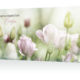 Trauerkarte mit altrosfarbenen Tulpen und grünlicher Umgebung
