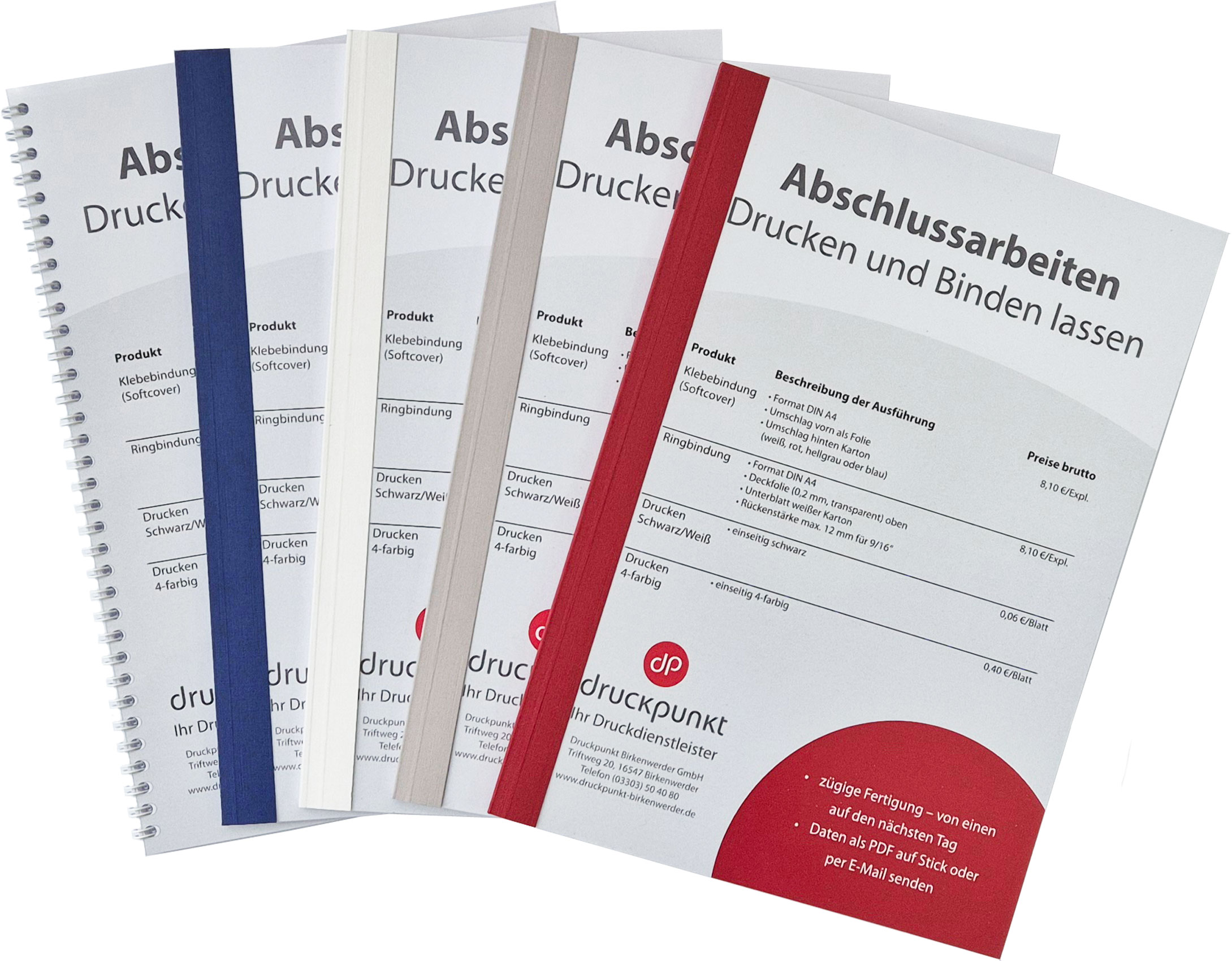 Abschlussarbeiten in fünf Varianten. Klebebindungen in vier verschiedenen Farben und eine Ringbindung.